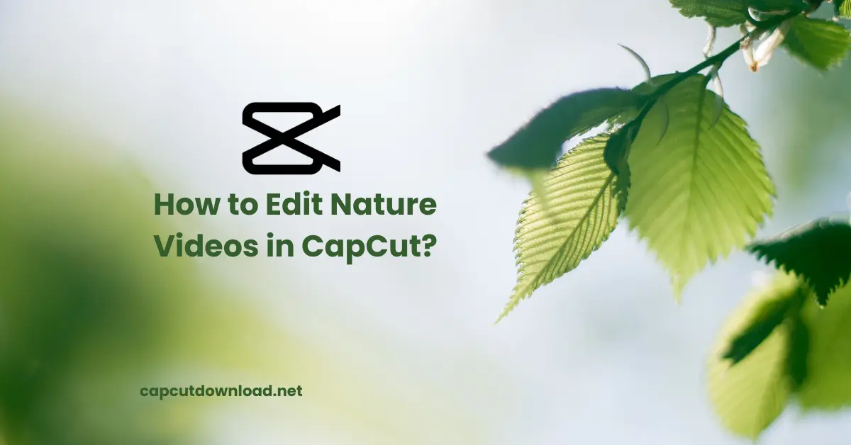 Edit Nature Videos in CapCut