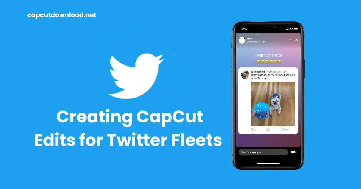 Creating CapCut Edits for Twitter Fleets
